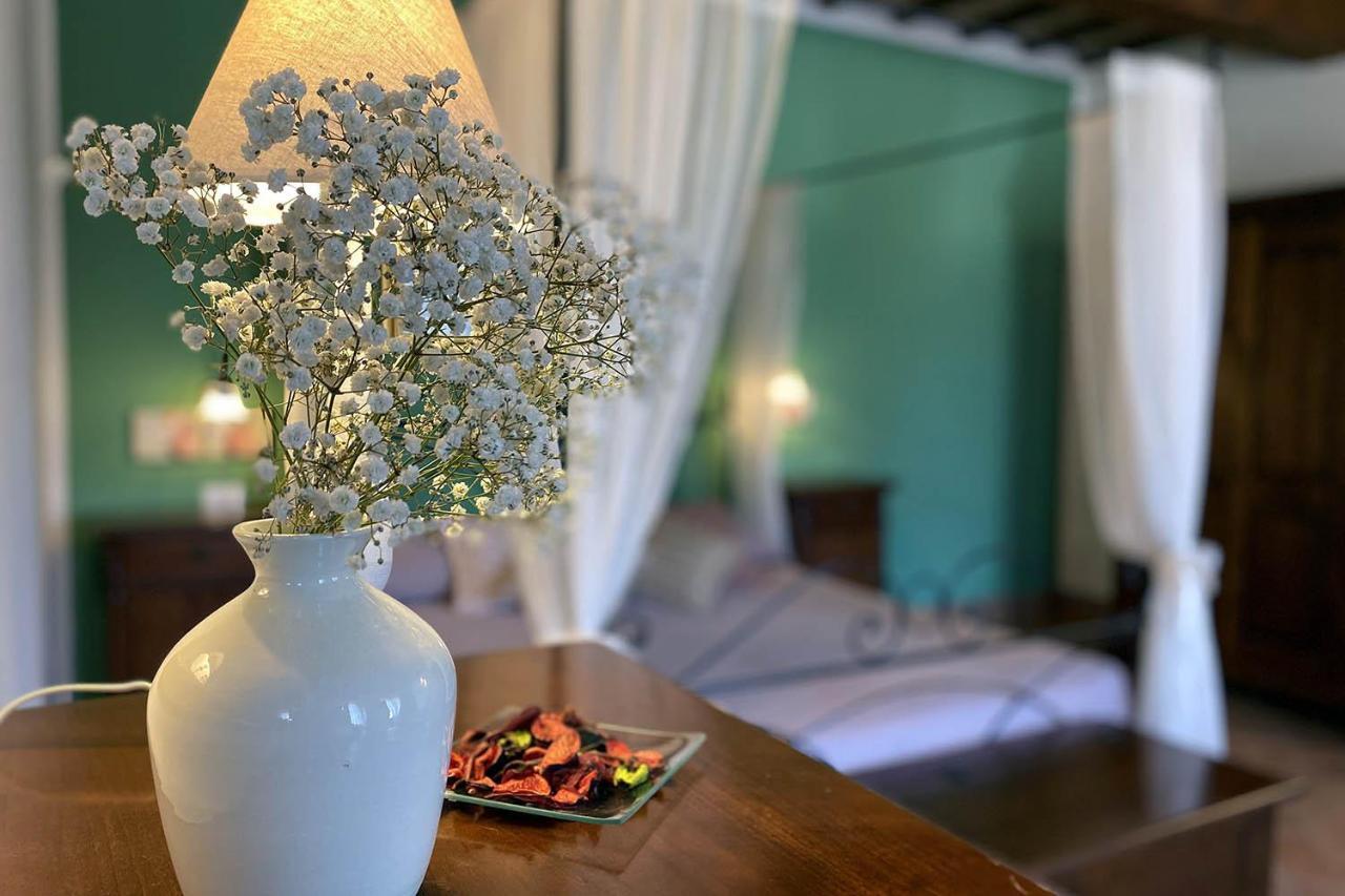 Il Poggio Della Pieve Apartments Santa Luce Eksteriør billede